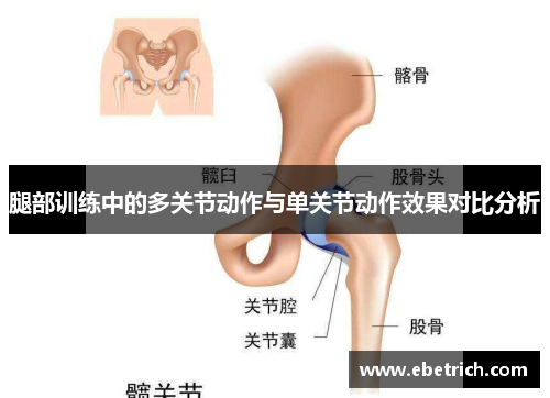 腿部训练中的多关节动作与单关节动作效果对比分析