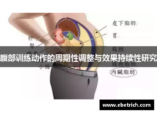 腹部训练动作的周期性调整与效果持续性研究